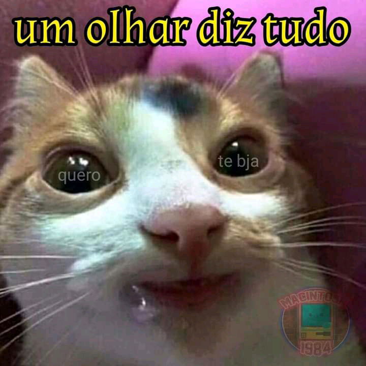 oh vey KKKKKKKKK