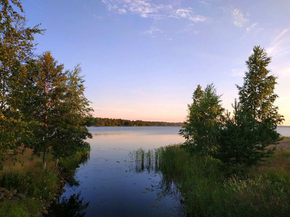 Nature