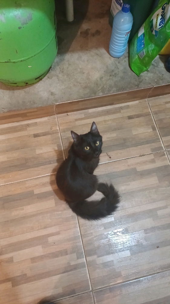 Salem