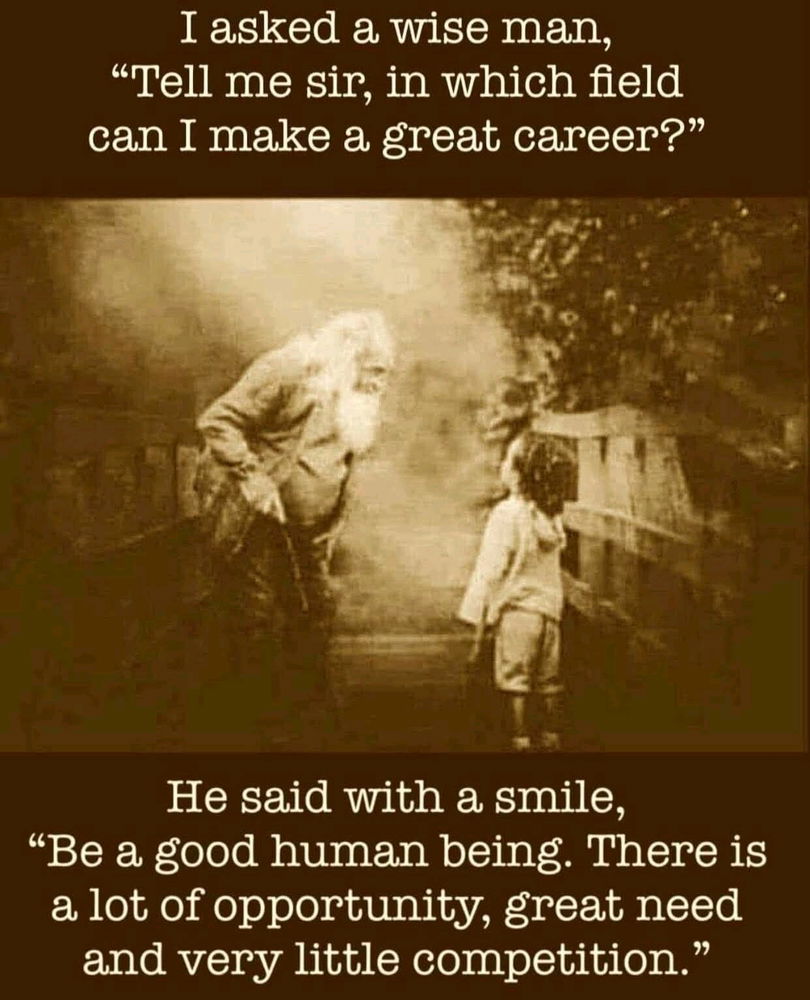 Career