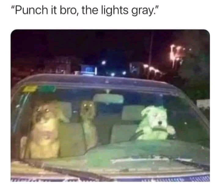 🚦