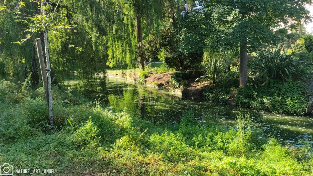 Retour à la nature