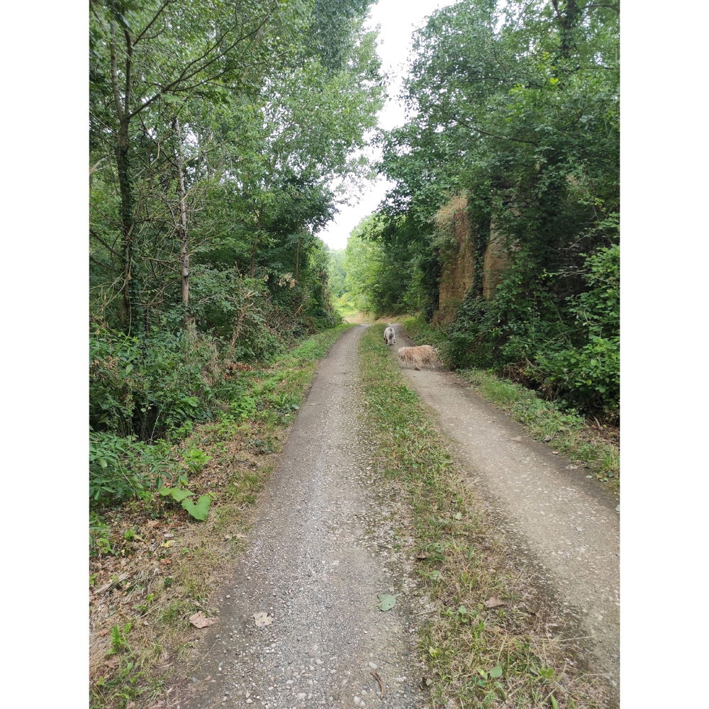 Retour à la nature
