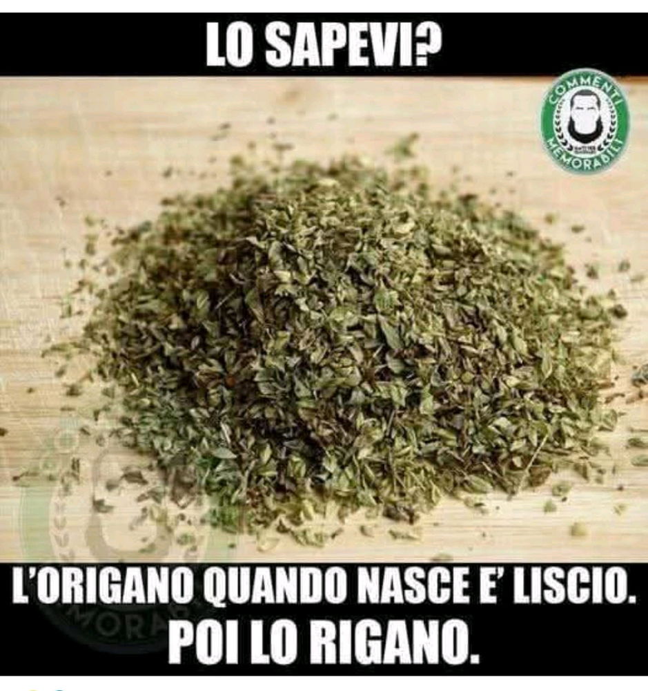 🤔🤔