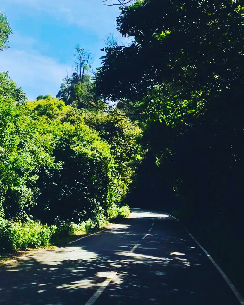 Empty roads, endless freedom—just the wind, the hum, and the space to be