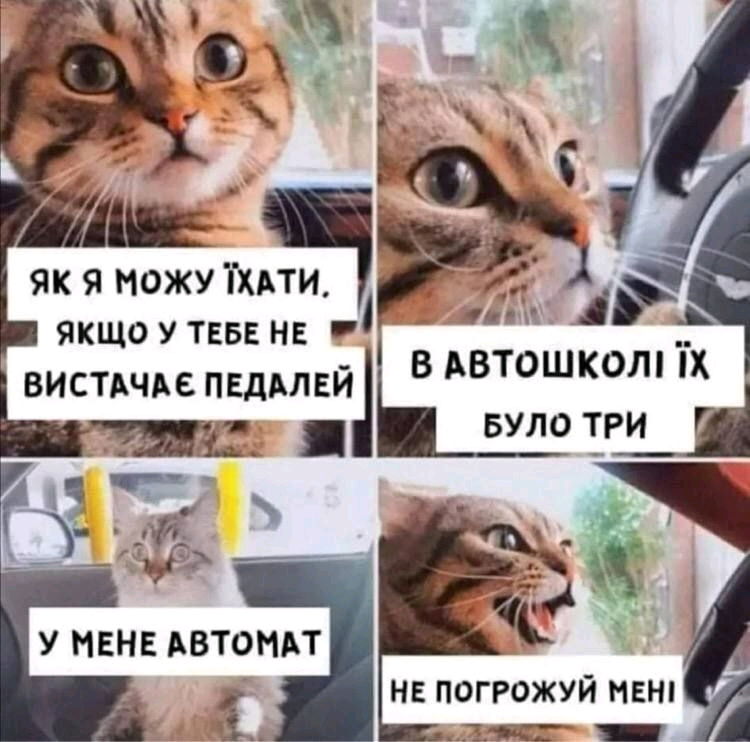 Всім хто здавав на права присвячується
