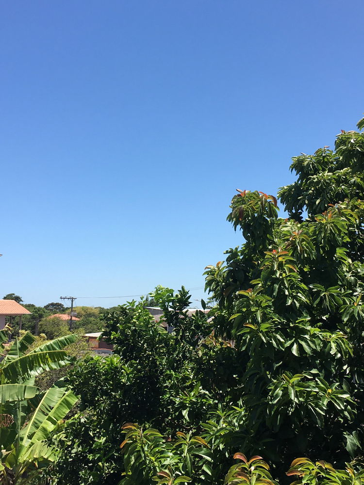 Bom dia ☀️