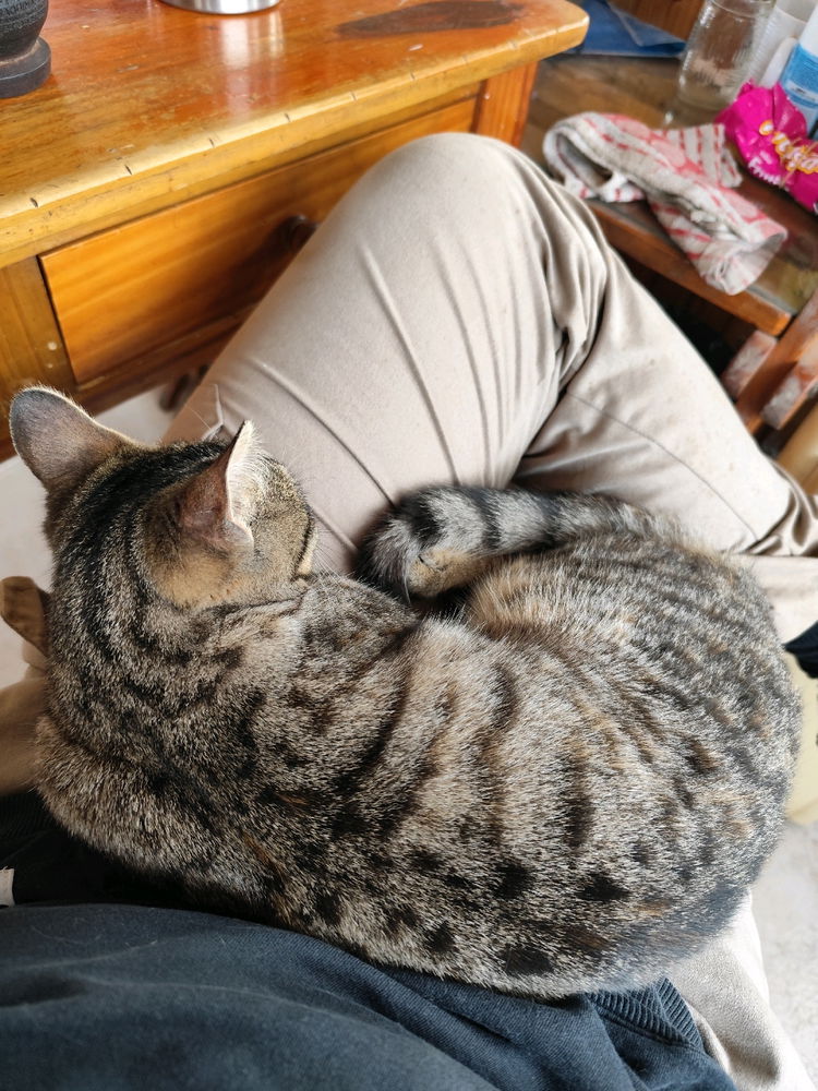 Que vida!