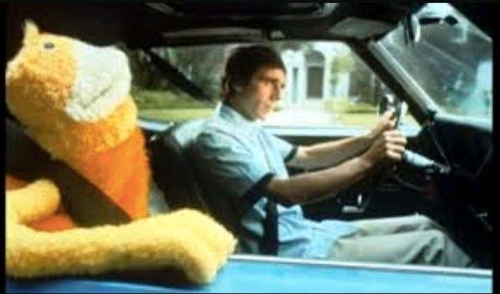 IL FENOMENO FLAT ERIC