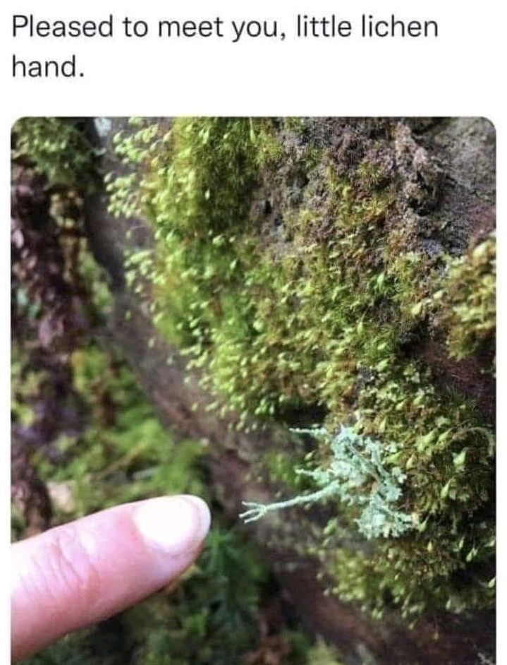 👉