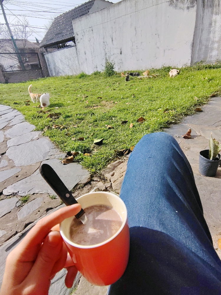 Linda mañana de sábado