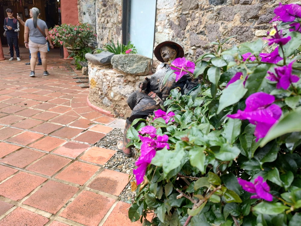 Flores Viaje