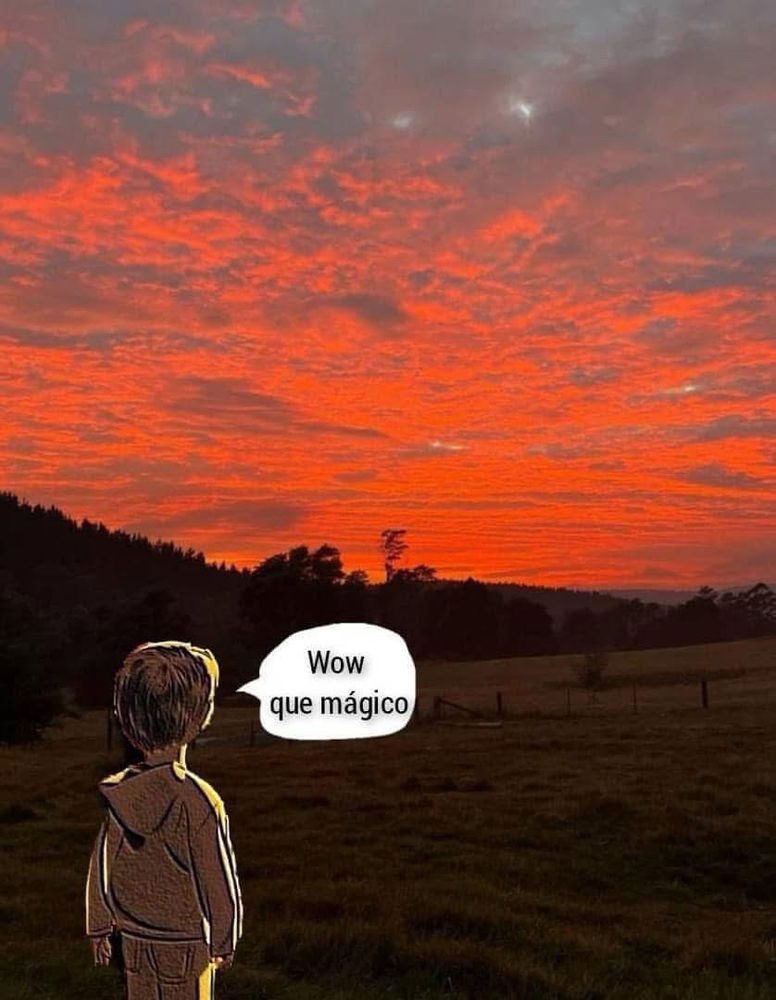 Si soy