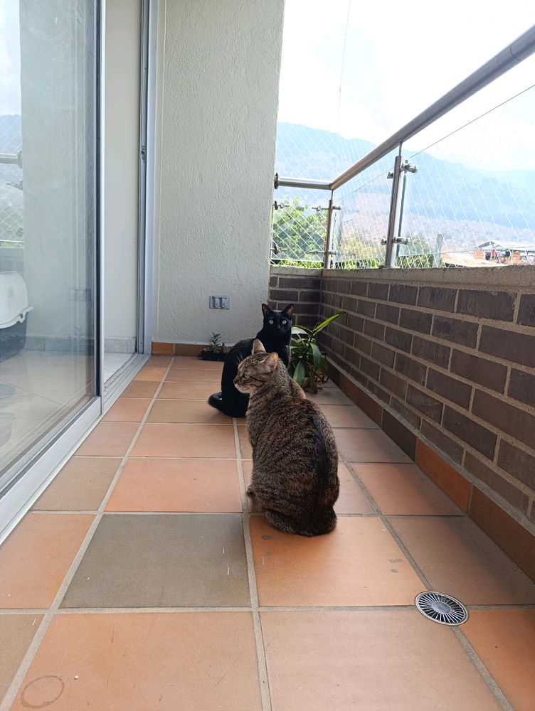 Clarita y Lucian
