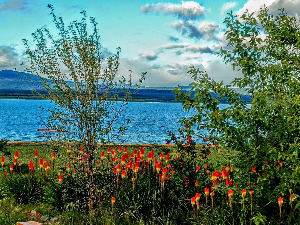 💐🌺🌼🏵️💮🌸🐝🌲🌳🍁🍂🎋