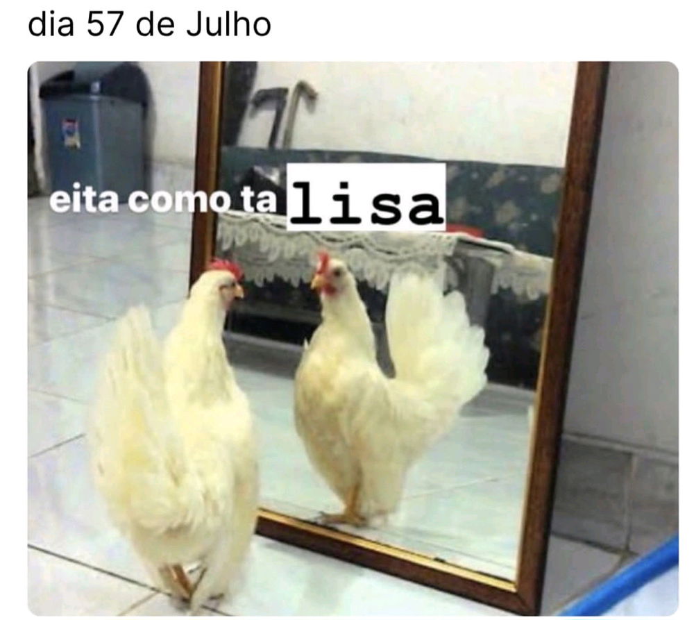 🤣