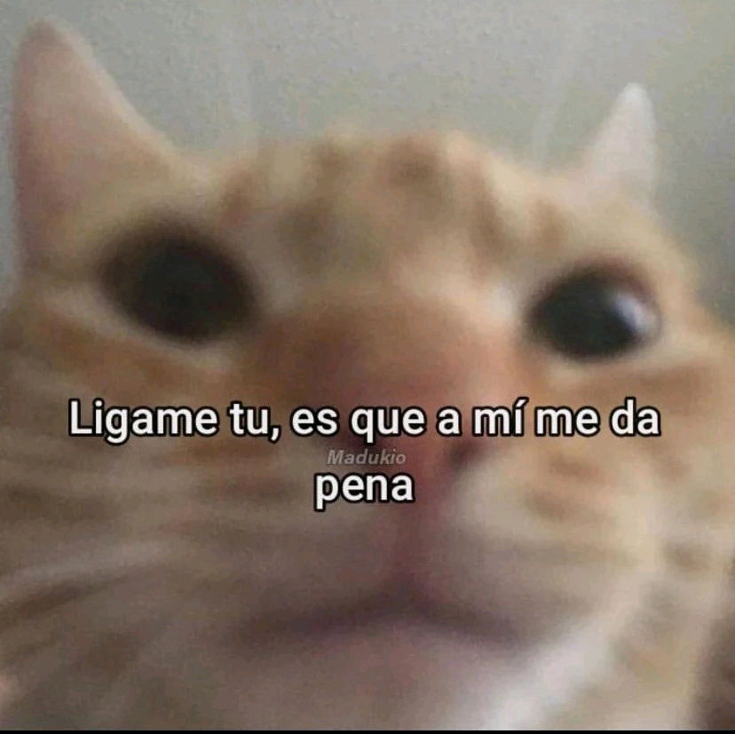 Holap
