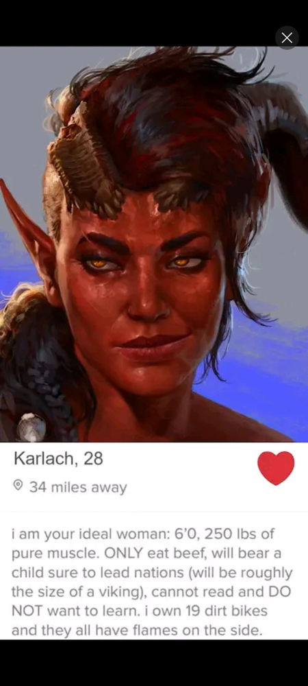 If BG3 characters had a dating profile