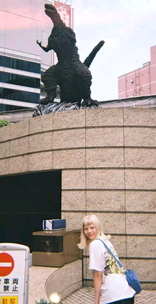 日本のオーロラの写真
