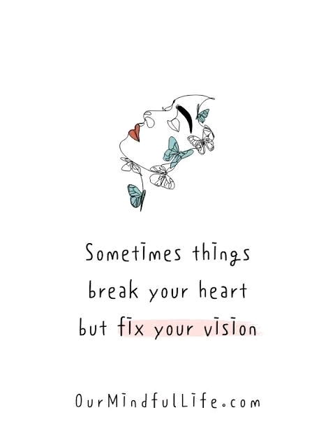 Lesson learned! 🦭🦭
