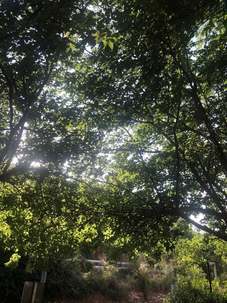 Relax