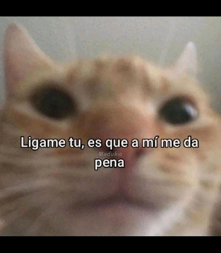 😂