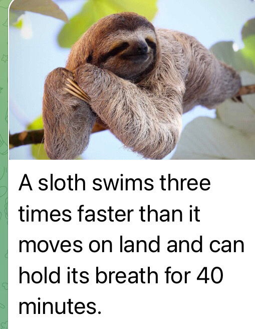 Now you know
