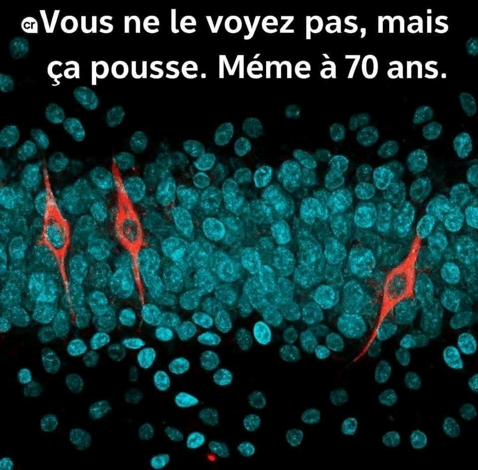 Bonne soirée 👋
