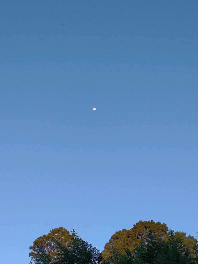 Lua 🌙