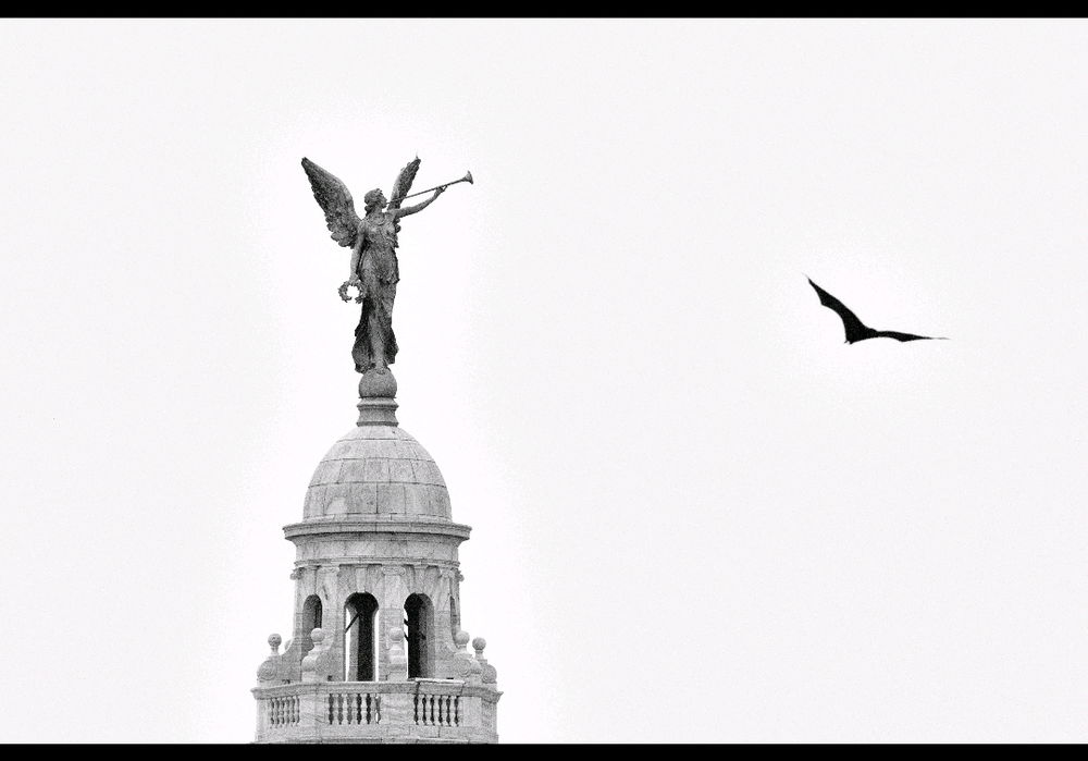 Silents meets Flight