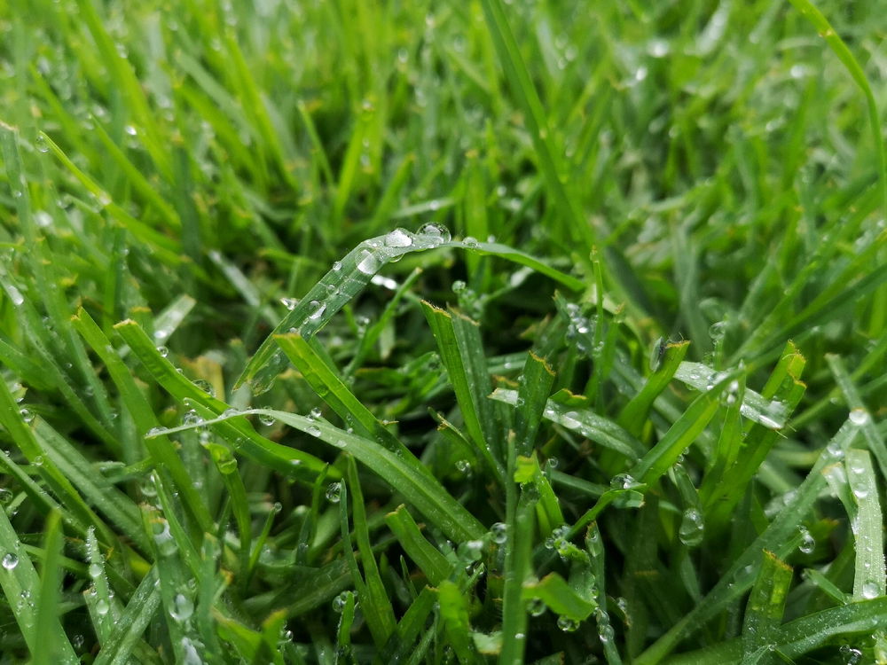 Lluvia