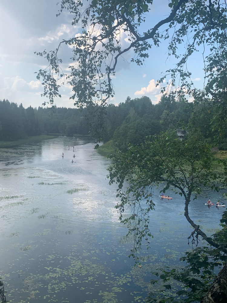 Сельское🌾