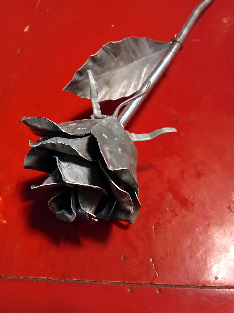 Rose éternelle