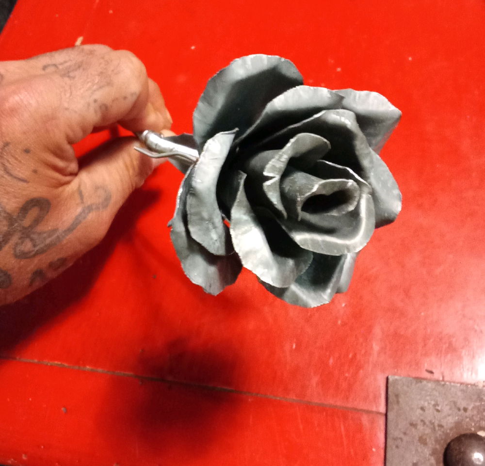 Rose éternelle