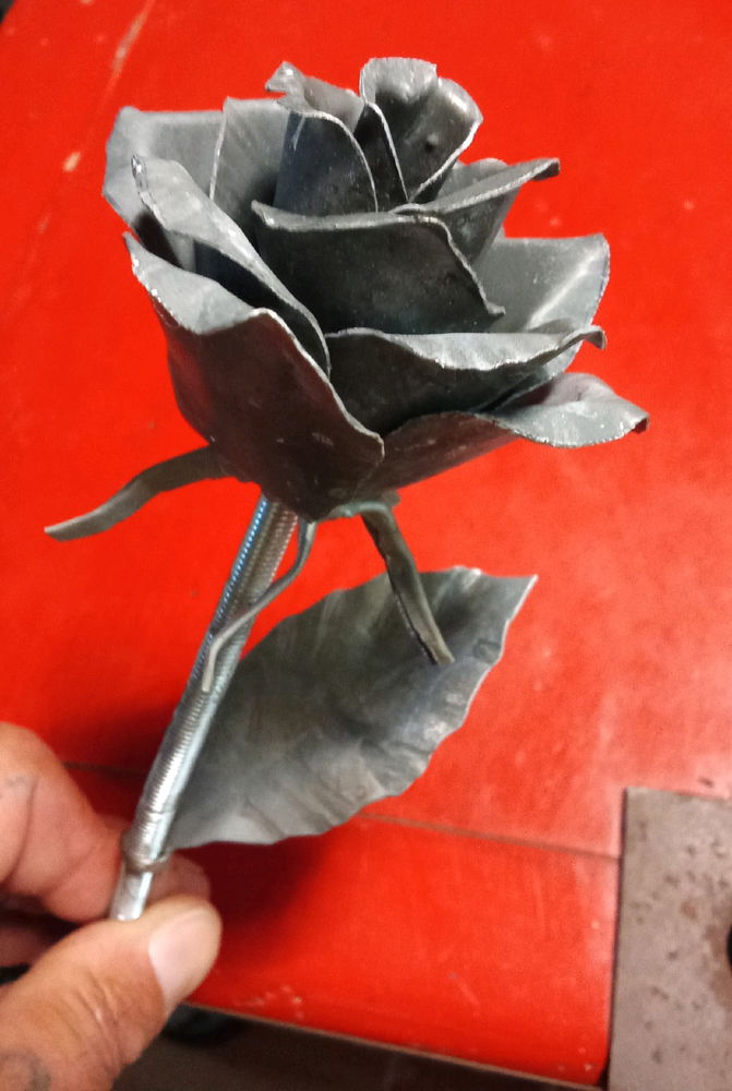Rose éternelle