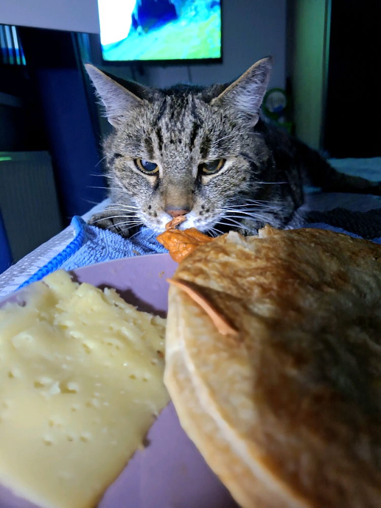 Mein kleiner Gourmet