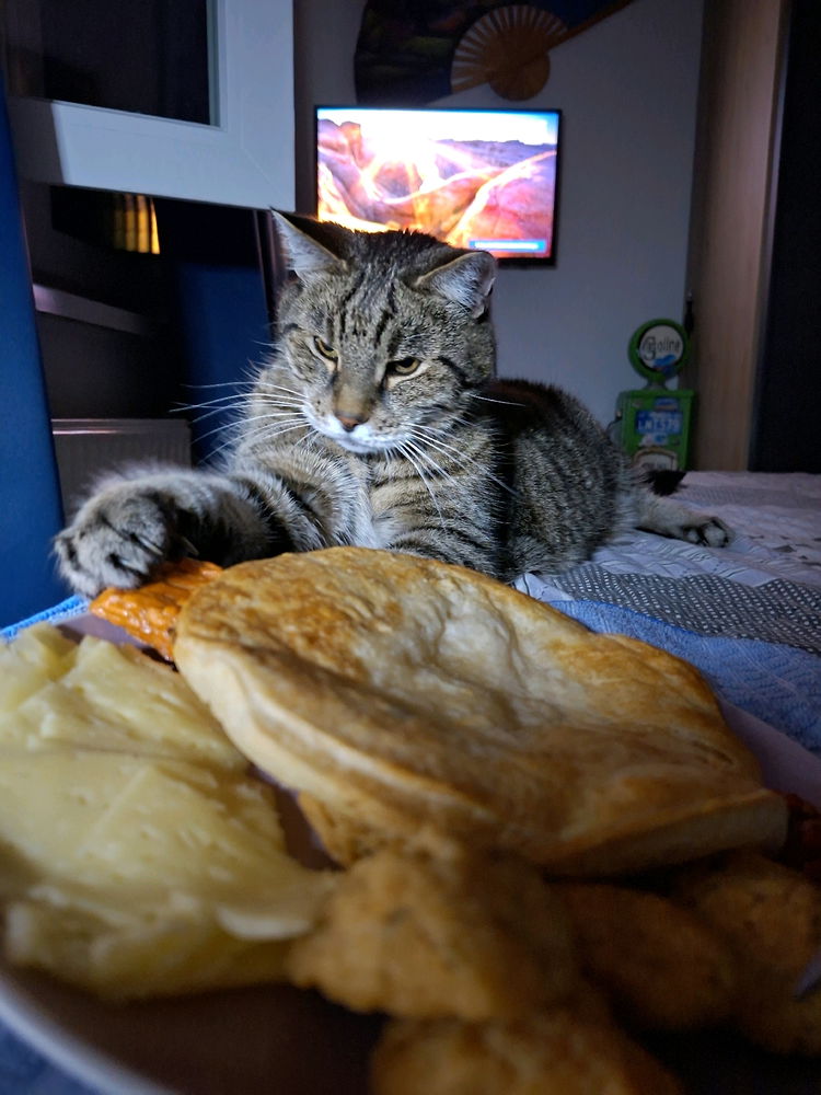 Mein kleiner Gourmet
