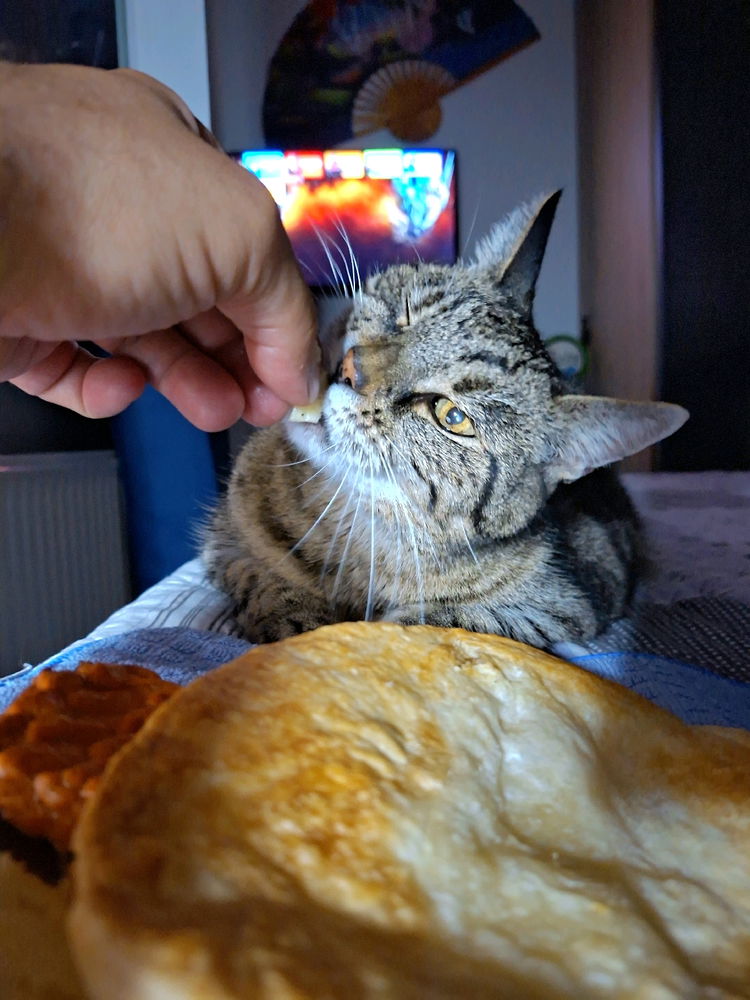Mein kleiner Gourmet