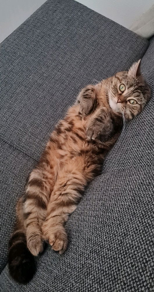 Mila so "ich chill den ganzen tag, ich chill soviel wie ich mag"