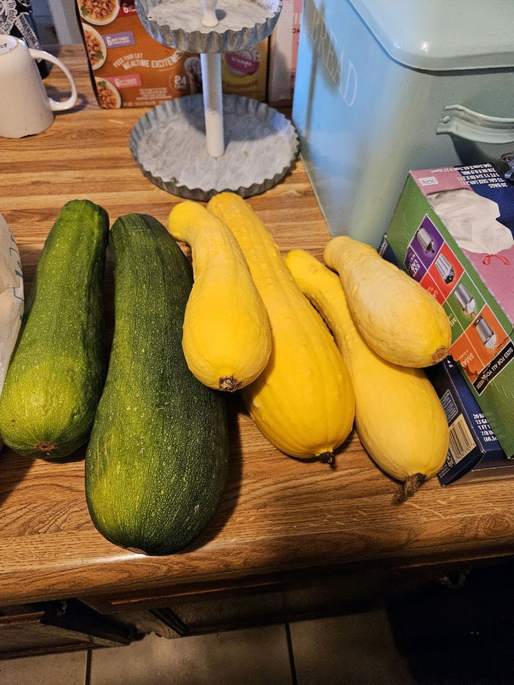 Harvest