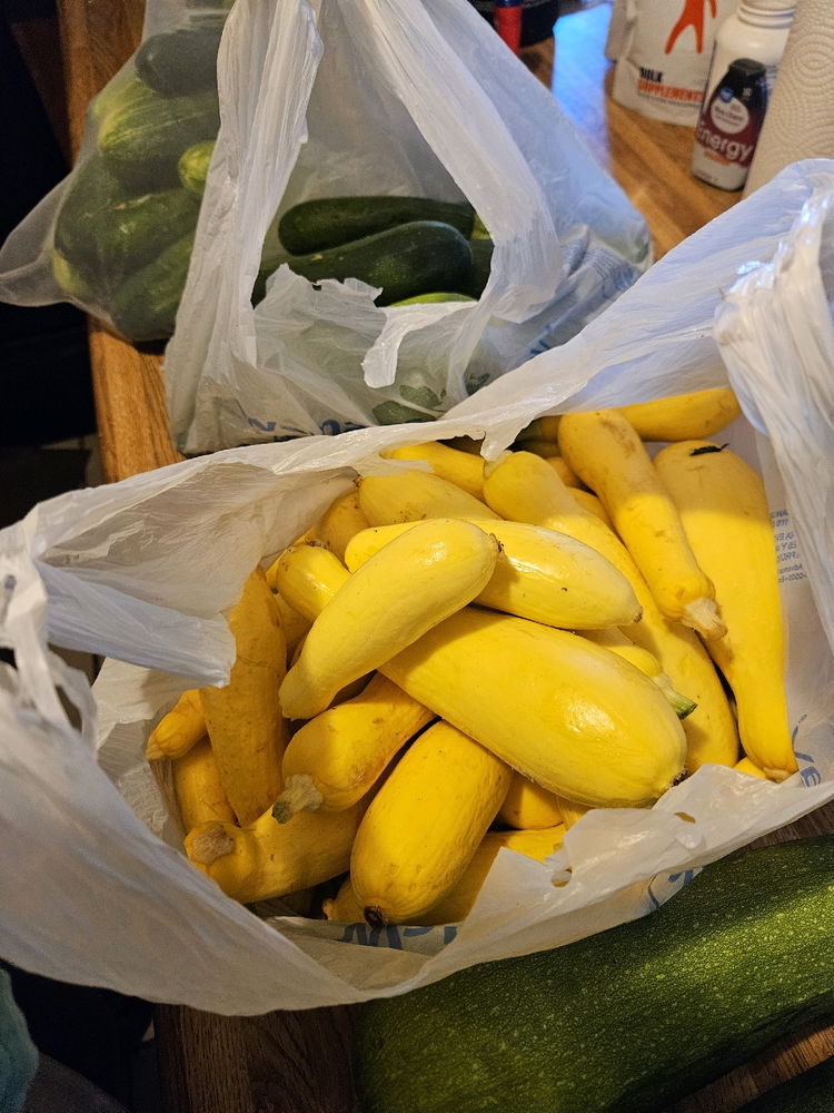 Harvest