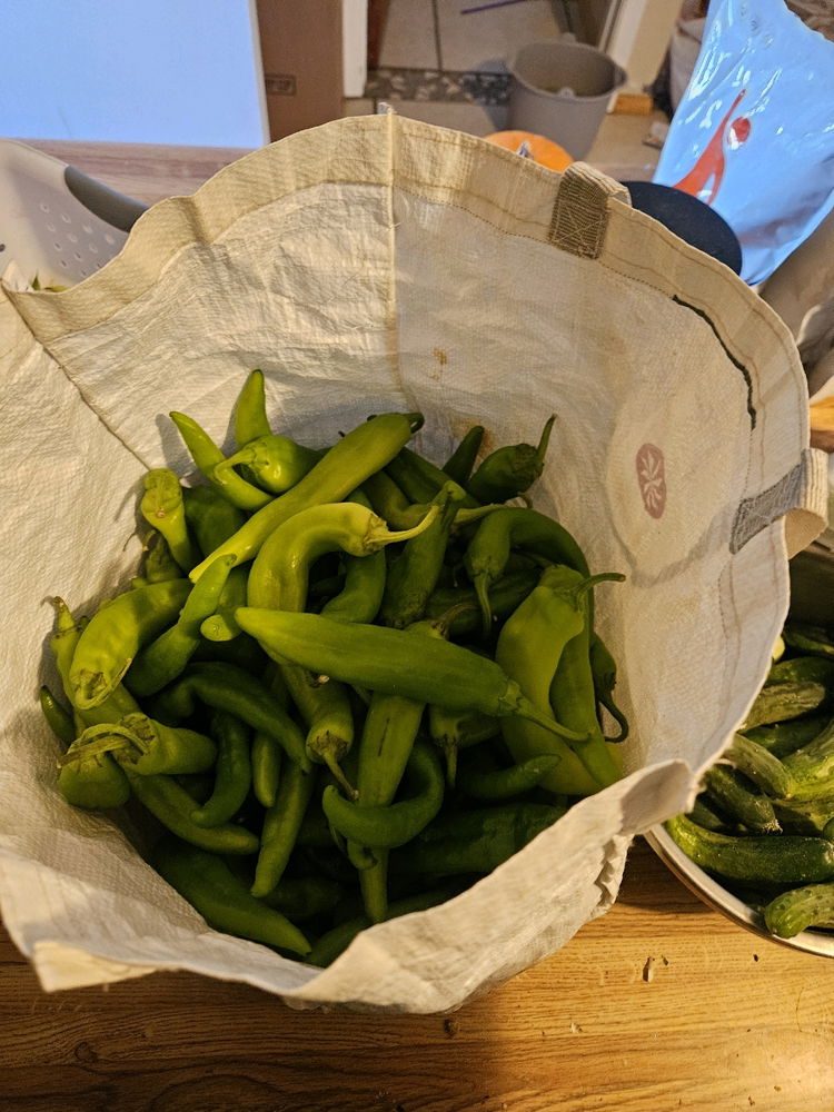 Harvest