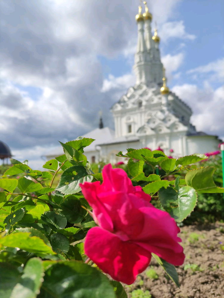 Одигитриевская церковь (г.Вязьма, Смоленская область)