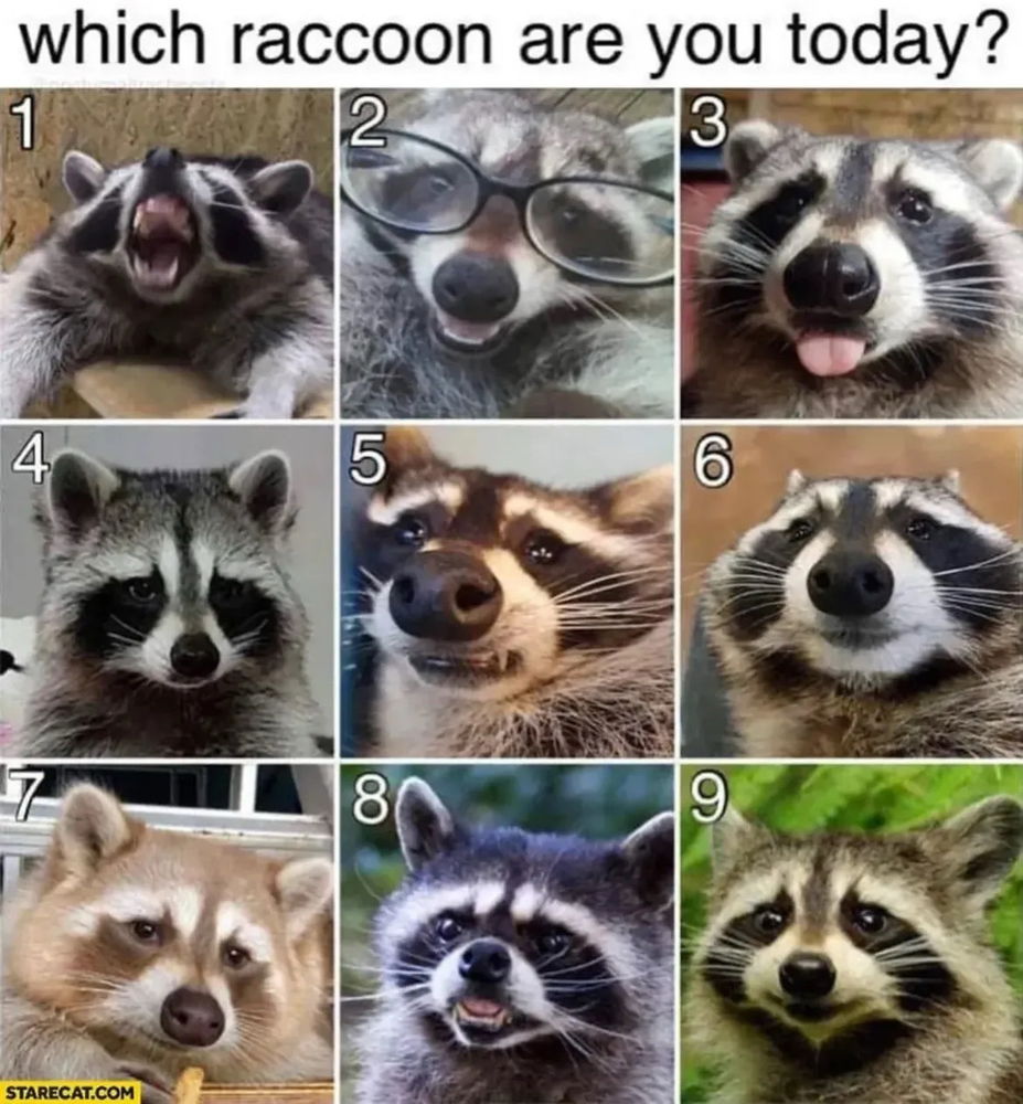 Which one are you today 🥴