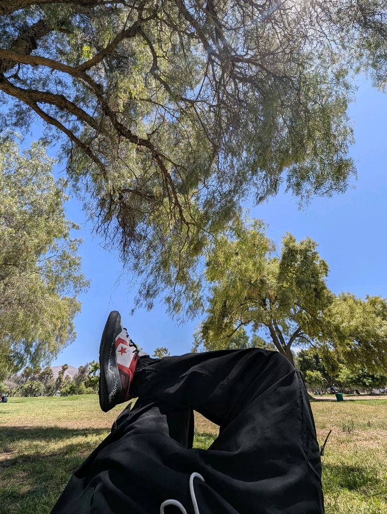 💤😴