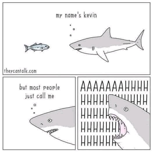 Looks very kevinistic.