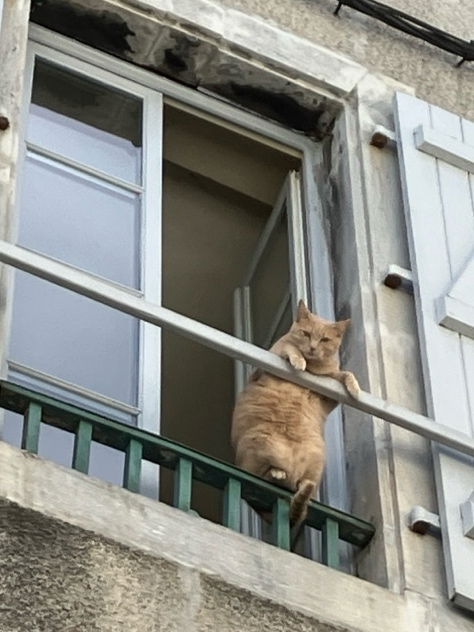 Je vous vois !