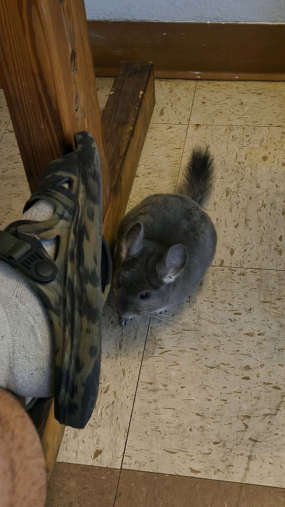 Waiting for a snack...