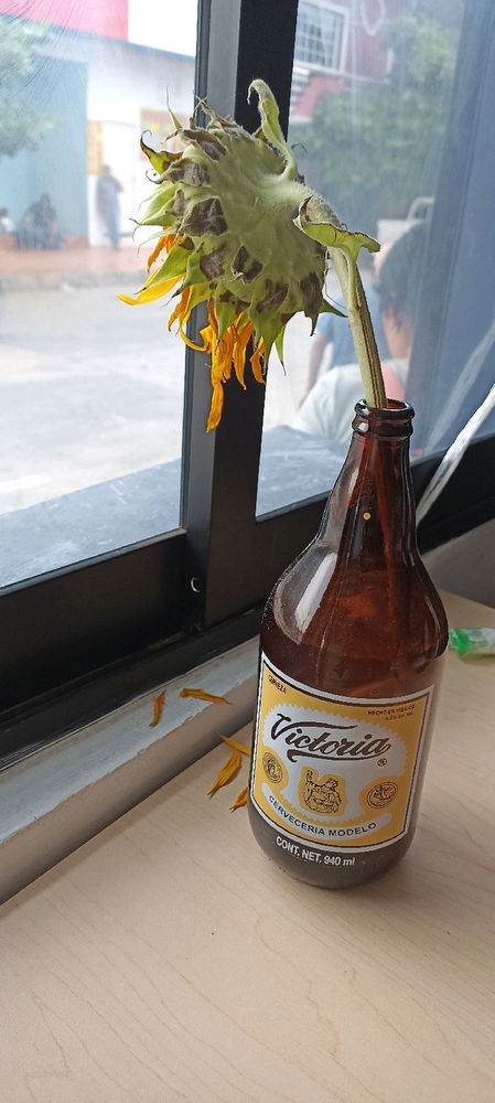 Dulce Vicio