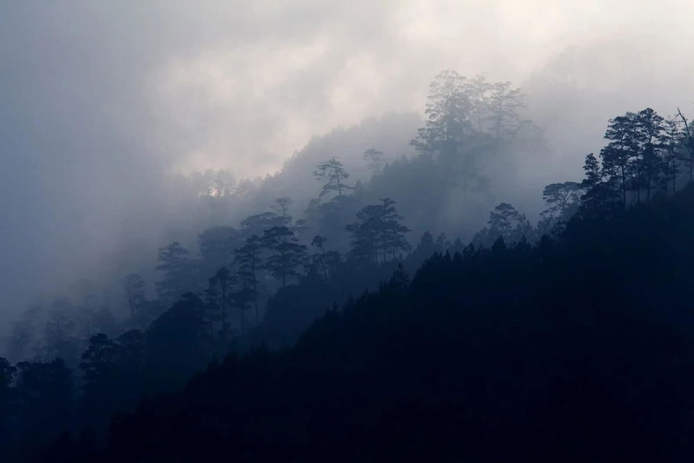 nature today on the way